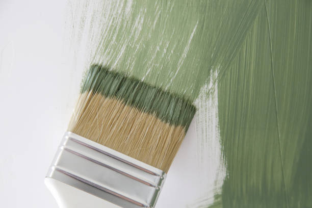 Professional Mold Removal in Brentwood, CA
