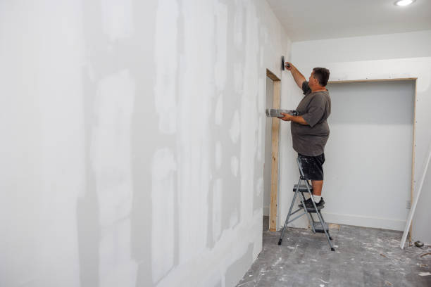 Best Crawl Space Mold Remediation  in Brentwood, CA