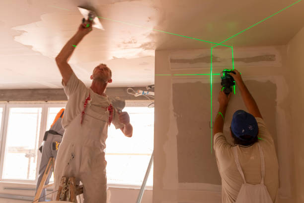 Biohazard Mold Removal in Brentwood, CA