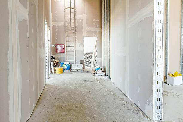 Asbestos and Lead Testing During Mold Inspection in Brentwood, CA