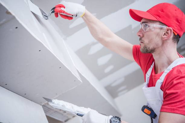 Best Basement Mold Removal  in Brentwood, CA